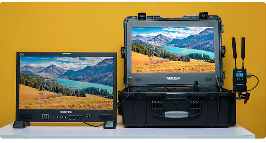 FEELWORLD SEETEC WPC215 21.5 Inch 1000nit High Bright Carry-on Production Monitor with Waterproof Case